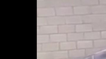 Los agentes en la patrulla.