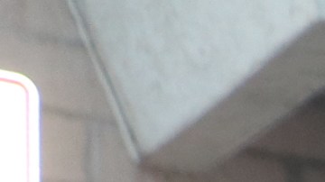 Patty Gómez y Reyna Vázquez junto a sus hijos, hermanos y sobrinos que tienen a cargo. / fotos: Jorge Luis Macías.