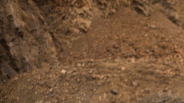 shutterstock_1211656855