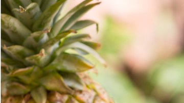 dieta de la piña