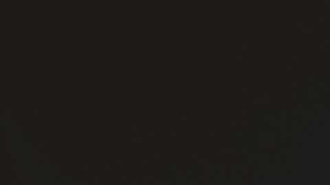 Universal se prepara para recibir el 2019 de fiesta.