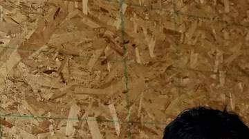 Webp.net-resizeimage