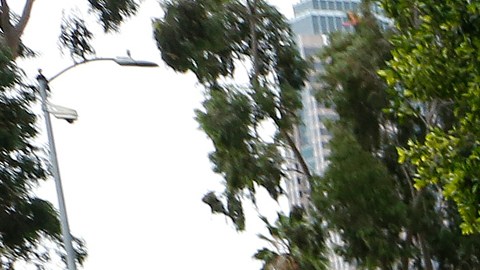 Los maestros del LAUSD se manifestaron este martes bajo la lluvia de Los Ángeles. / fotos: Aurelia Ventura.