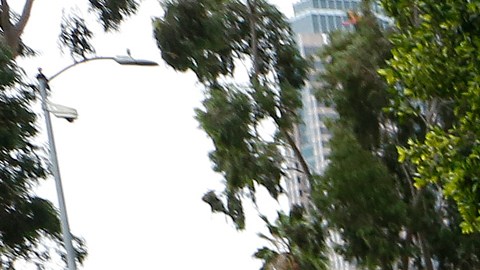 Los maestros del LAUSD se manifestaron este martes bajo la lluvia de Los Ángeles. / fotos: Aurelia Ventura.