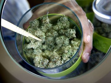 Según GreenEdge, una empresa que vigila las ventas en el país, en 2018 se vendió en California 2,500 millones de dólares en marihuana para su uso recreacional, 500 millones de dólares menos que en 2017 cuando la venta de la droga era para consumo medicinal. (Aurelia Ventura/ La Opinion)