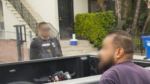 La mega operación se realizó en la ciudad de Nueva York, Long Island y Hudson Valley