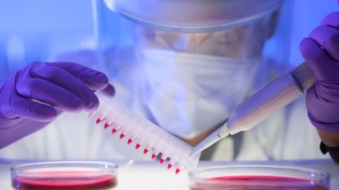 Las reglas de bioseguridad serán manejadas por la OMS.