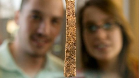 El hueso Ishango tiene aproximadamente 20.000 años de antigüedad.