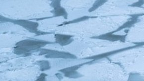 105406715_mediaitem105406714