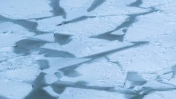 105406715_mediaitem105406714