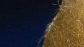 Trump acusa a los países del Triángulo del Norte