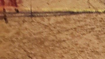 Un dibujo realizado por la artista Jane Rosenberg del presunto narcotraficante mexicano Joaquín "El Chapo" Guzmán en corte.