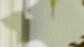 La Primera Dama celebró el Año Nuevo en Florida.