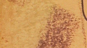 El operativo se hizo en una vivienda de $1 millón de dólares.