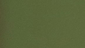 El Brujo Mayor de México ofrece sus predicciones anuales.