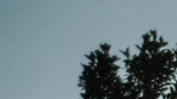 Unos 3,000 migrantes esperaban cruzar de Guatemala a México, el 26 de enero de 2021.