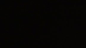 El serbio Novak Djokovic se quedó con el título del Australian Open 2019.