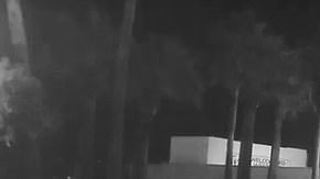 No se sabe si el Tesla en verdad derribó al robot o éste se cayó por sí solo