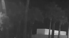 No se sabe si el Tesla en verdad derribó al robot o éste se cayó por sí solo