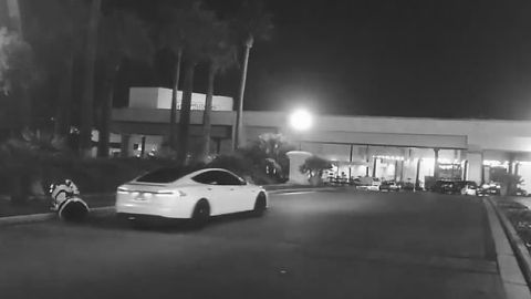No se sabe si el Tesla en verdad derribó al robot o éste se cayó por sí solo