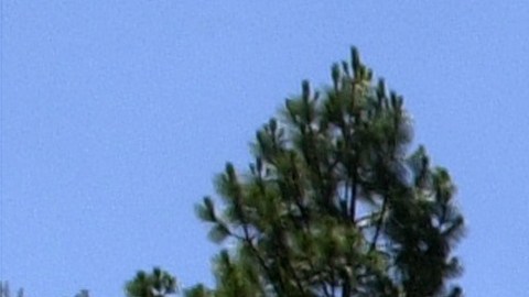 La falta de personal en Yosemite y otros parques naturales a causa del cierre parcial del Gobierno ha hecho que las letrinas lleven días sin limpiarse.