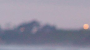 Fue su primer y único auto