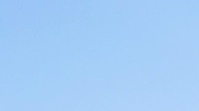 Las mascotas no son objetos, pero la gente los sigue dejando dentro de sus autos