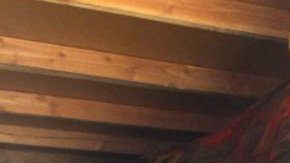 La estatua de la mascota de UCLA sufrió daños por $15,000 dólares a causa del vandalism. (@CBSLosAngeles)