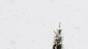 Además de tu salud, protege a tu vehículo