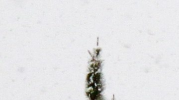 Además de tu salud, protege a tu vehículo