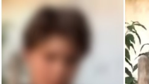 Chimuelo