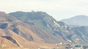 Ford Mustang 2019 / Foto: Ford