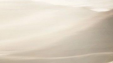 Ford Taurus / Foto: Ford