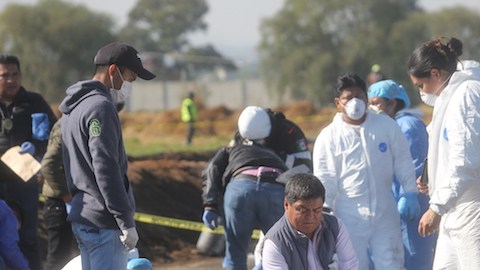Forenses