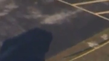 El incidente se produjo la tarde de este jueves en una zona cercana a un hangar del aeropuerto regional Brooksville-Tampa Bay.