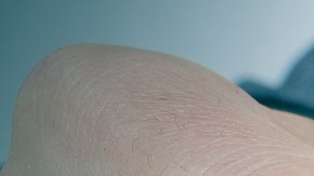 Los despidos pueden derse por cualquier razón. (Shutterstock)