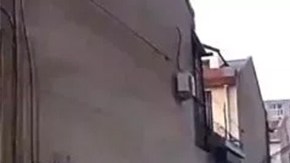 Un perro ayuda a salvar a su dueño indicando el camino a una ambulancia.
