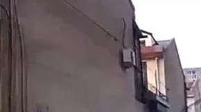 Un perro ayuda a salvar a su dueño indicando el camino a una ambulancia.