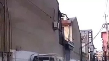 Un perro ayuda a salvar a su dueño indicando el camino a una ambulancia.