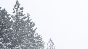 Hay advertencia de nevadas y ventiscas en California.