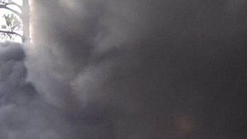 El accidente ocurrió en la Interestatal 75 en Florida.