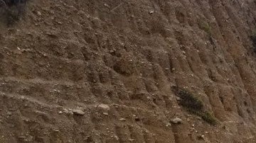 LASD ha emitido un comunicado en el cual se ordena una evacuación mandatoria en ciertas zonas de Malibú y ciudades cercanas.