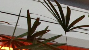 Andrés Manuel López Obrador.