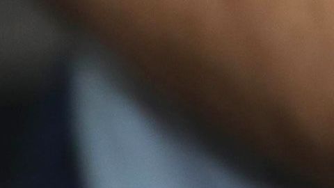 El dólar se recupera en México.