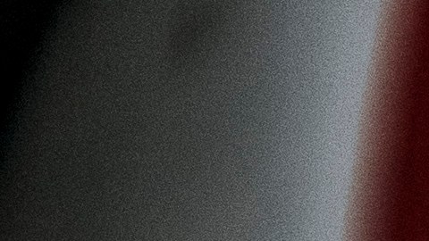 En la foto aparece el famoso gato de la suerte.