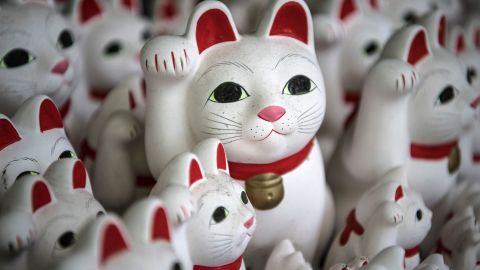En la foto aparece el famoso gato de la suerte.