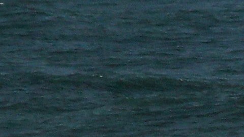 Foto capturada en Moon Bay, California.