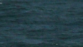 Foto capturada en Moon Bay, California.