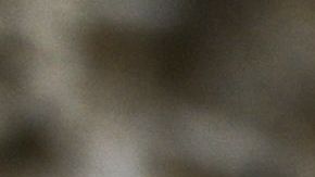 Los Archivos Nacionales fue uno de los muchos servicios afectados por el cierre de Gobierno que comenzó el 22 de diciembre. /ANDREW CABALLERO-REYNOLDS / AFP/Getty Images.