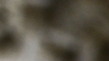 Los Archivos Nacionales fue uno de los muchos servicios afectados por el cierre de Gobierno que comenzó el 22 de diciembre. /ANDREW CABALLERO-REYNOLDS / AFP/Getty Images.